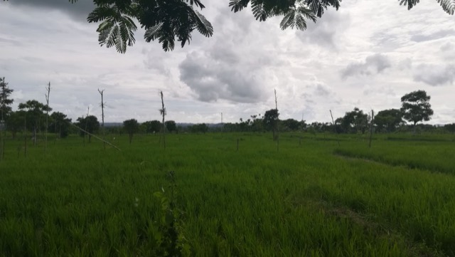 Indonesia, West Nusa Tenggara, Indonesia